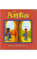 Ants