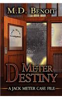 Meter Destiny