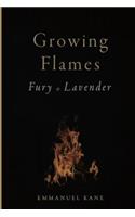 Growing Flames