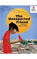 The Unexpected Friend - a Rohingya Children's Story