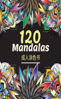120 Mandalas 成人涂色书