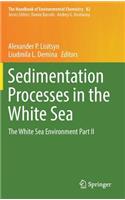 Sedimentation Processes in the White Sea