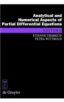 Analytical and Numerical Aspects of Partial Differential Equations: Notes of a Lecture Series(De Gruyter Proceedings in Mathematics)