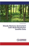 Woody Biomass Assessment with Multi-Resolution Satellite Data