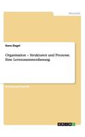 Organisation - Strukturen und Prozesse. Eine Lernzusammenfassung