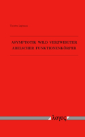 Asymptotik Wild Verzweigter Abelscher Funktionenkorper