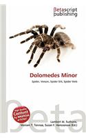 Dolomedes Minor