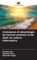 Croissance et physiologie du haricot commun et du maïs en culture intercalaire