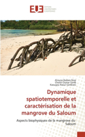 Dynamique spatiotemporelle et caractérisation de la mangrove du Saloum