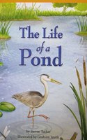 Harcourt School Publishers Storytown California: A Exc Book Exc 10 Grade 3 Life of a Pond: A Exc Book Exc 10 Grade 3 Life of a Pond