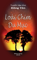 Loai Chim Du Muc