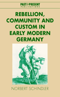 Rebellion, Community and Custom in Early Modern Germany