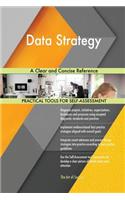 Data Strategy A Clear and Concise Reference