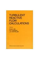 Turbulent Reactive Flow Calculations