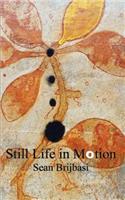 Still Life in Motion