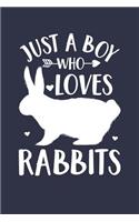 Just A Boy Who Loves Rabbits Notebook - Gift for Rabbit Lovers - Rabbit Journal: Medium College-Ruled Diary, 110 page, Lined, 6x9 (15.2 x 22.9 cm)