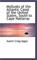 Mollusks of the Atlantic Caost of the United States, South to Cape Hatteras