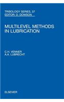 Multi-Level Methods in Lubrication: (Tribology)
