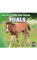 Foals