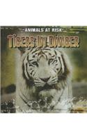 Tigers in Danger: (Animals at Risk)