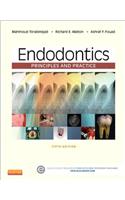 Endodontics