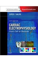 Cardiac Electrophysiology: From Cell to Bedside E-Book