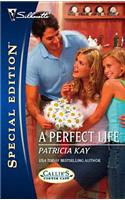 A Perfect Life