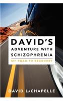 David's Adventure with Schizophrenia