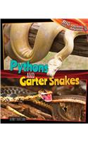 Pythons and Garter Snakes