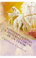 Contemplaciones & Historias Cortas De Un Tzadik