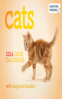 Cats Mini Box Calendar 2024