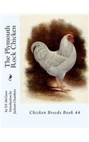 Plymouth Rock Chicken