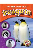 The Life Cycle of a Penguin: (Life Cycles)