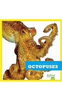 Life Under the Sea: Octopuses(Life Under the Sea)