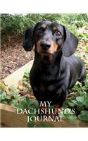 My Dachshund's Journal: Building Memories One Day at a Time