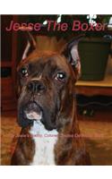 Jesse The Boxer
