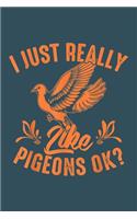 I just really like pigeons OK