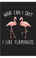 What Can I Say I Like Flamingos: Blank Lined Notebook To Write In For Notes, To Do Lists, Notepad, Journal, Funny Gifts For Flamingo Lover