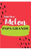 One In a Melon Papa: Cute Family Member Appriciation Diary / Notebook / Journal / Gift Card. Perfect For Birthday or Christmas (6x9 110 blank line pages)