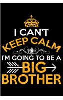 I Can't Keep Calm I'm Going To Be A Big Brother