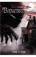Banebringer
