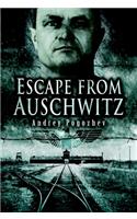 Escape from Auschwitz