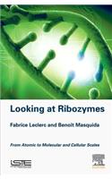 Looking at Ribozymes