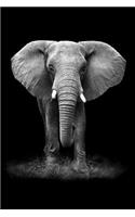 Elephant Notebook: Blank Lined Journal, Softcover (6x9 Inches) with 120 Pages