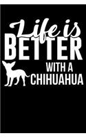 Life Is Better with a Chihuahua