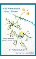 Why Water Plants Don't Drown