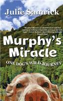 Murphy's Miracle