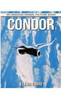 Condor