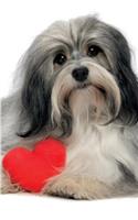 Havanese January Notebook & Journal. Productivity Work Planner & Idea Notepad: Brainstorm Thoughts, Self Discovery, To Do List