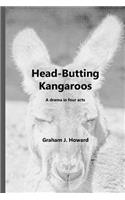 Head-Butting Kangaroos